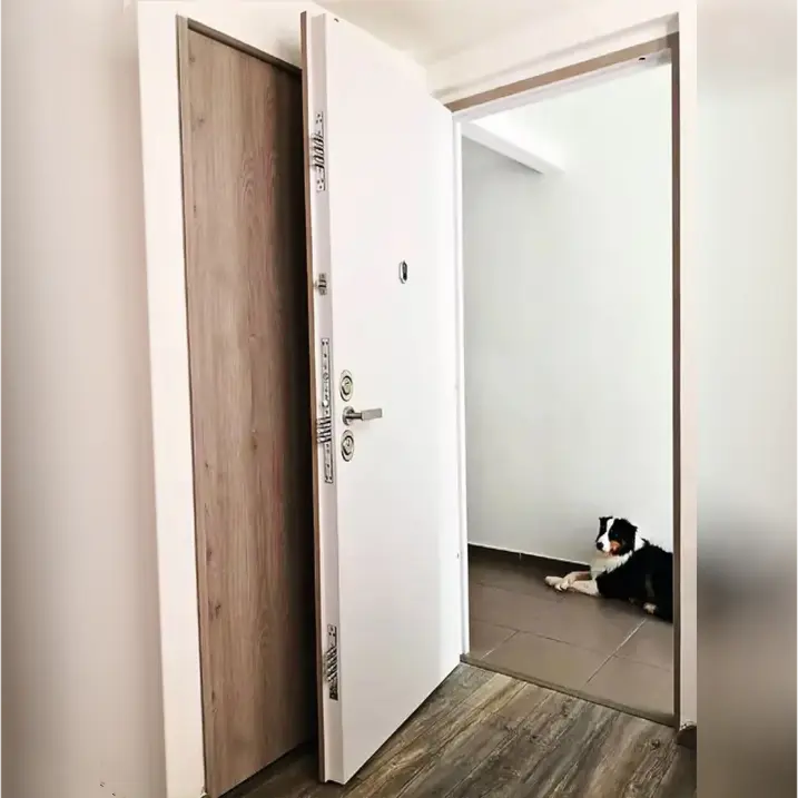 PUERTA DE SEGURIDAD NIVEL V